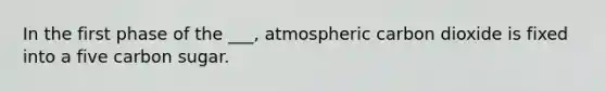 In the first phase of the ___, atmospheric carbon dioxide is fixed into a five carbon sugar.