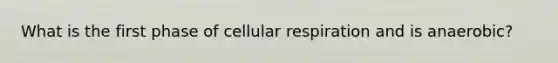 What is the first phase of cellular respiration and is anaerobic?