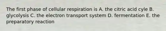 The first phase of <a href='https://www.questionai.com/knowledge/k1IqNYBAJw-cellular-respiration' class='anchor-knowledge'>cellular respiration</a> is A. the citric acid cyle B. glycolysis C. the <a href='https://www.questionai.com/knowledge/kbvjAonm6A-electron-transport-system' class='anchor-knowledge'>electron transport system</a> D. fermentation E. the preparatory reaction