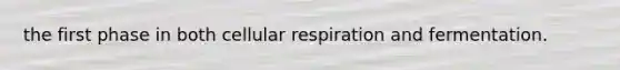 the first phase in both <a href='https://www.questionai.com/knowledge/k1IqNYBAJw-cellular-respiration' class='anchor-knowledge'>cellular respiration</a> and fermentation.