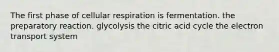 The first phase of <a href='https://www.questionai.com/knowledge/k1IqNYBAJw-cellular-respiration' class='anchor-knowledge'>cellular respiration</a> is fermentation. the preparatory reaction. glycolysis the citric acid cycle the <a href='https://www.questionai.com/knowledge/kbvjAonm6A-electron-transport-system' class='anchor-knowledge'>electron transport system</a>