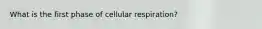 What is the first phase of cellular respiration?
