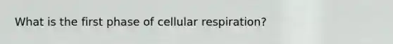 What is the first phase of cellular respiration?