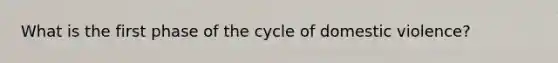 What is the first phase of the cycle of domestic violence?