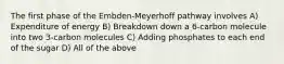 The first phase of the Embden-Meyerhoff pathway involves A) Expenditure of energy B) Breakdown down a 6-carbon molecule into two 3-carbon molecules C) Adding phosphates to each end of the sugar D) All of the above