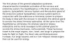 The first phase of the general adaptation syndrome, characterized by immediate activation of the nervous and endocrine system The hypothalamus in the brain activates, two systems. Sympathetic nervous System and the pituitary gland of the endocrine system Sympathetic nervous system works in conjunction with the endocrine or hormonal system to prepare the body to deal with the stressor is stimulates the adrenal gland to secrete the stress hormone adrenaline. At the same time The Hypothalamus stimulates the pituitary gland to release endorphins and to send messages to the adrenal gland to secrete the stress Hormones, corticosteroids. These hormones travel to the major organs, liver, heart, and lungs to prepare the body for fight or flight. Our heart rate and blood pressure increase, our lungs expand, and our liver releases stored sugars that can be used for energy