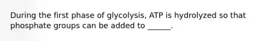 During the first phase of glycolysis, ATP is hydrolyzed so that phosphate groups can be added to ______.