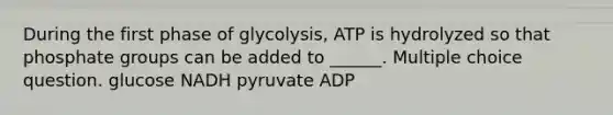 During the first phase of glycolysis, ATP is hydrolyzed so that phosphate groups can be added to ______. Multiple choice question. glucose NADH pyruvate ADP