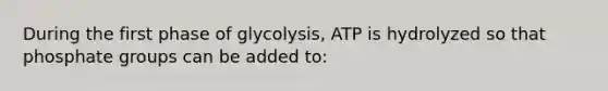 During the first phase of glycolysis, ATP is hydrolyzed so that phosphate groups can be added to: