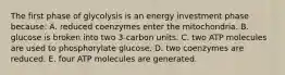 The first phase of glycolysis is an energy investment phase because: A. reduced coenzymes enter the mitochondria. B. glucose is broken into two 3-carbon units. C. two ATP molecules are used to phosphorylate glucose. D. two coenzymes are reduced. E. four ATP molecules are generated.