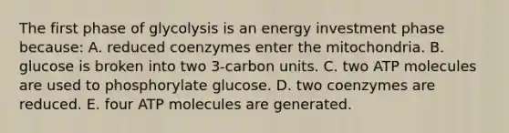 The first phase of glycolysis is an energy investment phase because: A. reduced coenzymes enter the mitochondria. B. glucose is broken into two 3-carbon units. C. two ATP molecules are used to phosphorylate glucose. D. two coenzymes are reduced. E. four ATP molecules are generated.