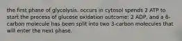 the first phase of glycolysis. occurs in cytosol spends 2 ATP to start the process of glucose oxidation outcome: 2 ADP, and a 6-carbon molecule has been split into two 3-carbon molecules that will enter the next phase.