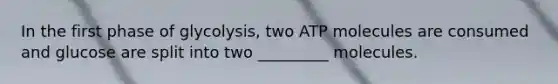 In the first phase of glycolysis, two ATP molecules are consumed and glucose are split into two _________ molecules.