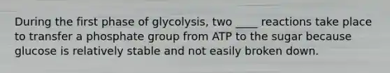 During the first phase of glycolysis, two ____ reactions take place to transfer a phosphate group from ATP to the sugar because glucose is relatively stable and not easily broken down.