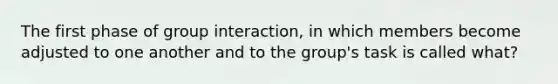 The first phase of group interaction, in which members become adjusted to one another and to the group's task is called what?