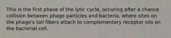 This is the first phase of the lytic cycle, occuring after a chance collision between phage particles and bacteria, where sites on the phage's tail fibers attach to complementary receptor sits on the bacterial cell.