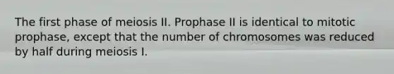 The first phase of meiosis II. Prophase II is identical to mitotic prophase, except that the number of chromosomes was reduced by half during meiosis I.