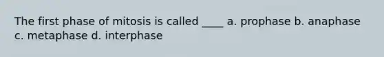 The first phase of mitosis is called ____ a. prophase b. anaphase c. metaphase d. interphase