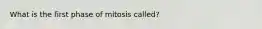 What is the first phase of mitosis called?