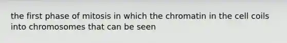 the first phase of mitosis in which the chromatin in the cell coils into chromosomes that can be seen