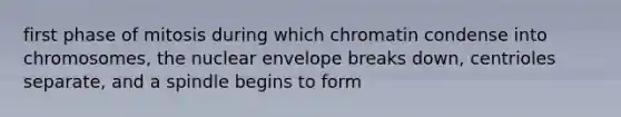 first phase of mitosis during which chromatin condense into chromosomes, the nuclear envelope breaks down, centrioles separate, and a spindle begins to form