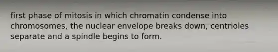 first phase of mitosis in which chromatin condense into chromosomes, the nuclear envelope breaks down, centrioles separate and a spindle begins to form.