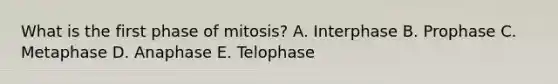 What is the first phase of mitosis? A. Interphase B. Prophase C. Metaphase D. Anaphase E. Telophase