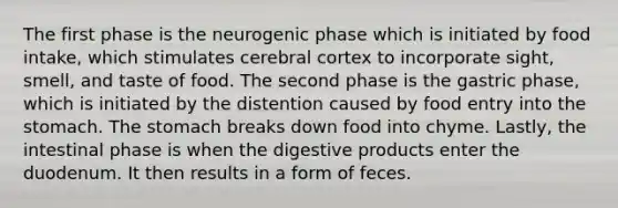 The first phase is the neurogenic phase which is initiated by food intake, which stimulates cerebral cortex to incorporate sight, smell, and taste of food. The second phase is the gastric phase, which is initiated by the distention caused by food entry into the stomach. The stomach breaks down food into chyme. Lastly, the intestinal phase is when the digestive products enter the duodenum. It then results in a form of feces.