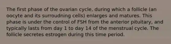 The first phase of the ovarian cycle, during which a follicle (an oocyte and its surroudning cells) enlarges and matures. This phase is under the control of FSH from the anterior pituitary, and typically lasts from day 1 to day 14 of the menstrual cycle. The follicle secretes estrogen during this time period.