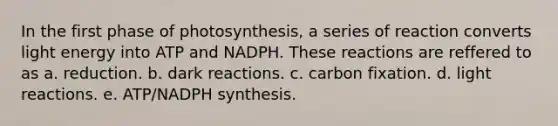 In the first phase of photosynthesis, a series of reaction converts light energy into ATP and NADPH. These reactions are reffered to as a. reduction. b. dark reactions. c. carbon fixation. d. light reactions. e. ATP/NADPH synthesis.