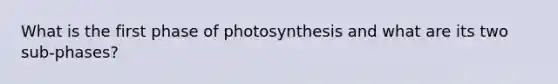 What is the first phase of photosynthesis and what are its two sub-phases?