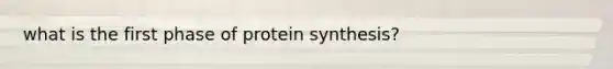 what is the first phase of protein synthesis?