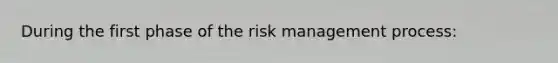 During the first phase of the risk management process: