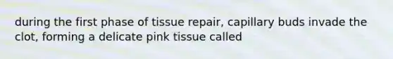 during the first phase of tissue repair, capillary buds invade the clot, forming a delicate pink tissue called