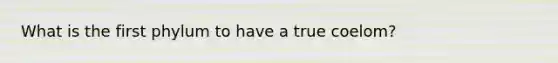 What is the first phylum to have a true coelom?