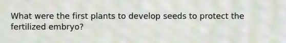 What were the first plants to develop seeds to protect the fertilized embryo?