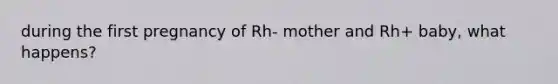 during the first pregnancy of Rh- mother and Rh+ baby, what happens?