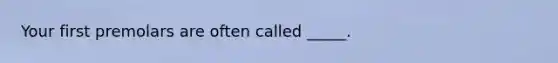 Your first premolars are often called _____.