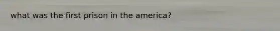 what was the first prison in the america?