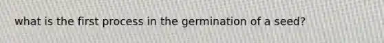 what is the first process in the germination of a seed?