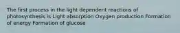 The first process in the light dependent reactions of photosynthesis is Light absorption Oxygen production Formation of energy Formation of glucose