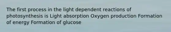 The first process in the light dependent reactions of photosynthesis is Light absorption Oxygen production Formation of energy Formation of glucose