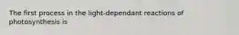 The first process in the light-dependant reactions of photosynthesis is