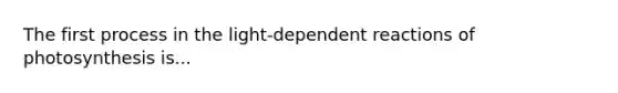 The first process in the light-dependent reactions of photosynthesis is...