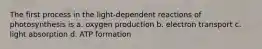 The first process in the light-dependent reactions of photosynthesis is a. oxygen production b. electron transport c. light absorption d. ATP formation