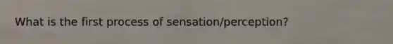 What is the first process of sensation/perception?