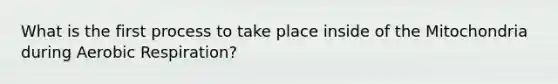 What is the first process to take place inside of the Mitochondria during <a href='https://www.questionai.com/knowledge/kyxGdbadrV-aerobic-respiration' class='anchor-knowledge'>aerobic respiration</a>?