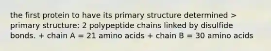 the first protein to have its primary structure determined > primary structure: 2 polypeptide chains linked by disulfide bonds. + chain A = 21 amino acids + chain B = 30 amino acids