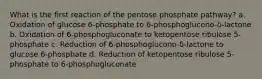 What is the first reaction of the pentose phosphate pathway? a. Oxidation of glucose 6-phosphate to 6-phosphoglucono-δ-lactone b. Oxidation of 6-phosphogluconate to ketopentose ribulose 5-phosphate c. Reduction of 6-phosphoglucono-δ-lactone to glucose 6-phosphate d. Reduction of ketopentose ribulose 5-phosphate to 6-phosphogluconate