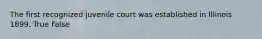 The first recognized juvenile court was established in Illinois 1899. True False